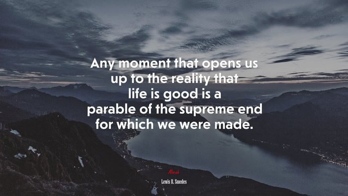 Any moment that opens us up to the reality that life is good is a parable of the supreme end for which we were made. | Lewis B. Smedes quote