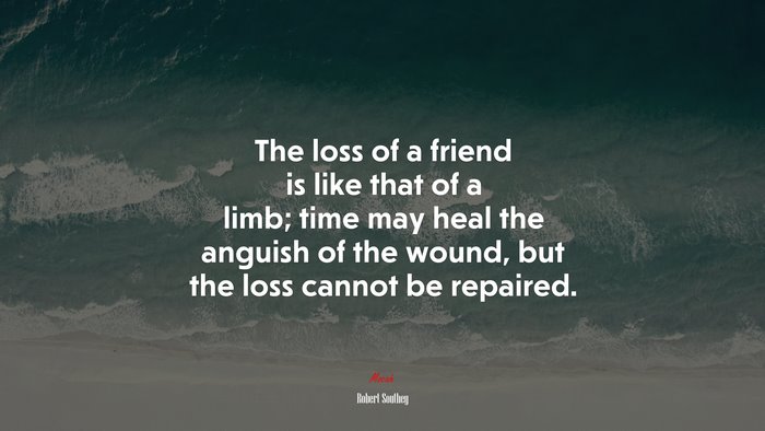 The loss of a friend is like that of a limb; time may heal the anguish of the wound, but the loss cannot be repaired. | Robert Southey quote