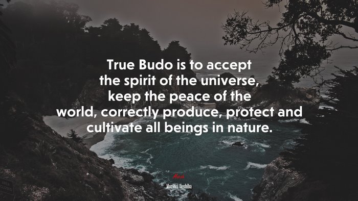True Budo is to accept the spirit of the universe, keep the peace of the world, correctly produce, protect and cultivate all beings in nature. | Morihei Ueshiba quote