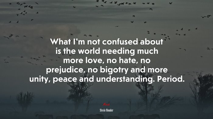 What I’m not confused about is the world needing much more love, no hate, no prejudice, no bigotry and more unity, peace and understanding. Period. | Stevie Wonder quote