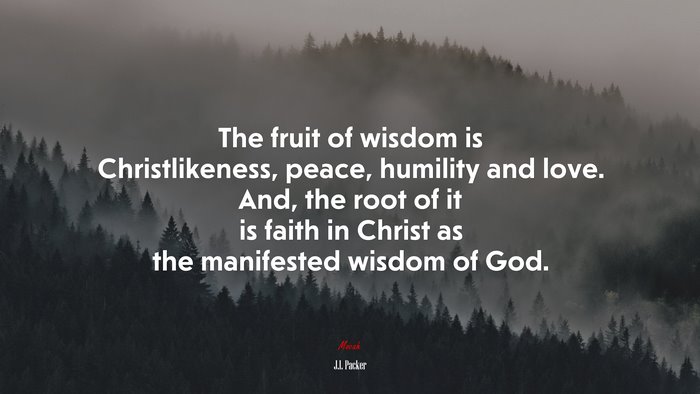 The fruit of wisdom is Christlikeness, peace, humility and love. And, the root of it is faith in Christ as the manifested wisdom of God. | J.I. Packer quote