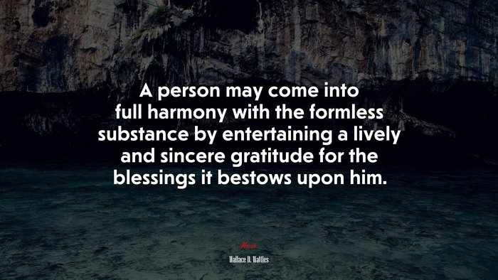 A person may come into full harmony with the formless substance by entertaining a lively and sincere gratitude for the blessings it bestows upon him. | Wallace D. Wattles quote