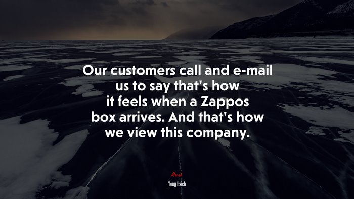Our customers call and e-mail us to say that’s how it feels when a Zappos box arrives. And that’s how we view this company. | Tony Hsieh quote