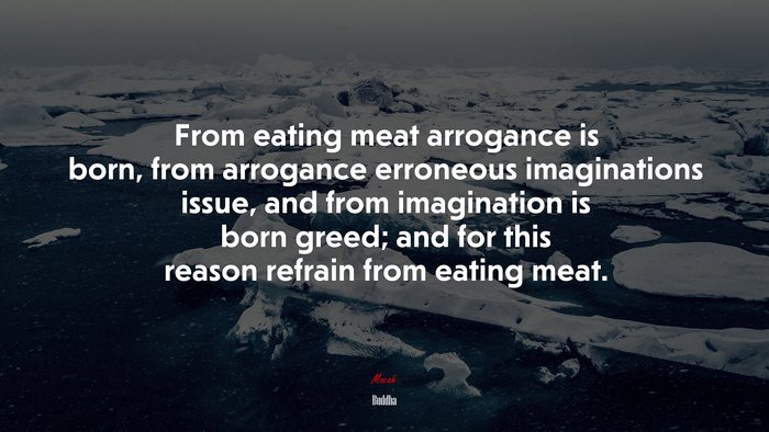 From eating meat arrogance is born, from arrogance erroneous imaginations issue, and from imagination is born greed; and for this reason refrain from eating meat. | Buddha quote
