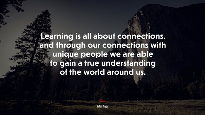 Learning is all about connections, and through our connections with unique people we are able to gain a true understanding of the world around us. | Peter Senge quote
