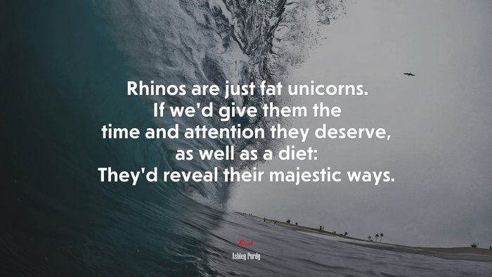 Rhinos are just fat unicorns. If we’d give them the time and attention they deserve, as well as a diet: They’d reveal their majestic ways. | Ashley Purdy quote