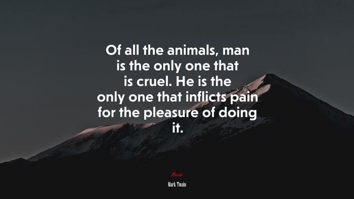 Of all the animals, man is the only one that is cruel. He is the only one that inflicts pain for the pleasure of doing it. | Mark Twain quote