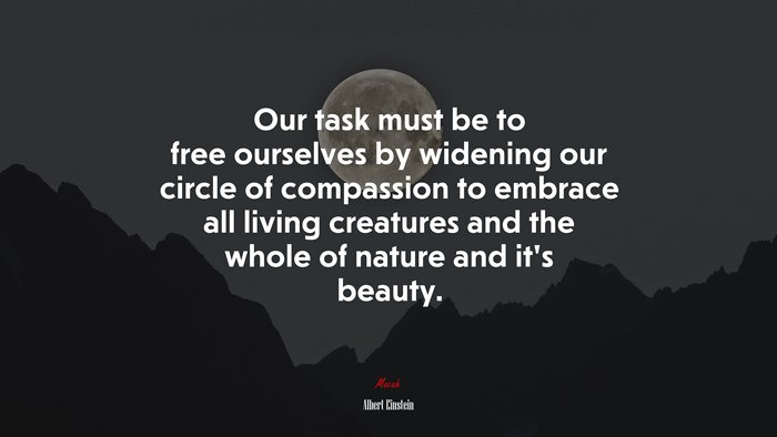 Our task must be to free ourselves by widening our circle of compassion to embrace all living creatures and the whole of nature and it’s beauty. | Albert Einstein quote