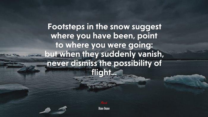 Footsteps in the snow suggest where you have been, point to where you were going: but when they suddenly vanish, never dismiss the possibility of flight... | Diane Duane quote