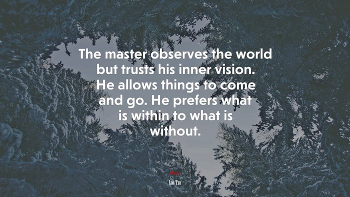 The master observes the world but trusts his inner vision. He allows things to come and go. He prefers what is within to what is without. | Lao Tzu quote