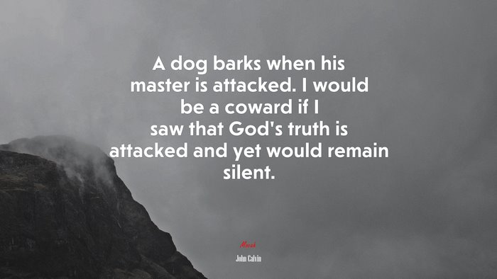 A dog barks when his master is attacked. I would be a coward if I saw that God’s truth is attacked and yet would remain silent. | John Calvin quote