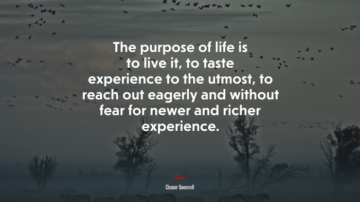 The purpose of life is to live it, to taste experience to the utmost, to reach out eagerly and without fear for newer and richer experience. | Eleanor Roosevelt quote