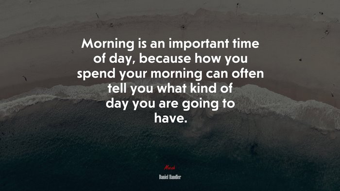 Morning is an important time of day, because how you spend your morning can often tell you what kind of day you are going to have. | Daniel Handler quote
