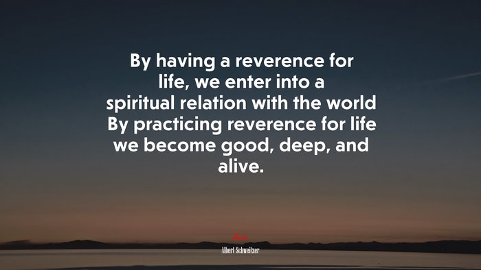 By having a reverence for life, we enter into a spiritual relation with the world By practicing reverence for life we become good, deep, and alive. | Albert Schweitzer quote