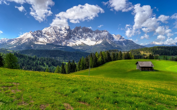 Wooden cabin on a green meadow with snow-capped mountains