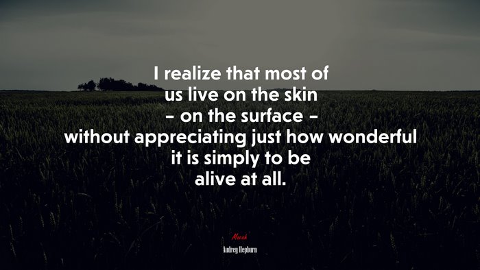 I realize that most of us live on the skin – on the surface – without appreciating just how wonderful it is simply to be alive at all. | Audrey Hepburn quote