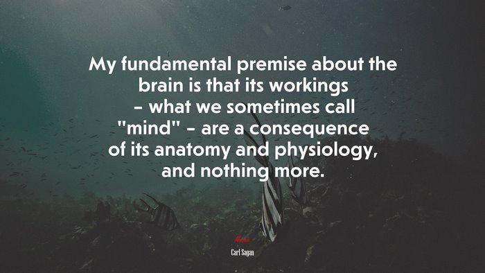 My fundamental premise about the brain is that its workings – what we sometimes call “mind” – are a consequence of its anatomy and physiology, and nothing more. | Carl Sagan quote