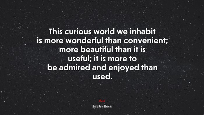 This curious world we inhabit is more wonderful than convenient; more beautiful than it is useful; it is more to be admired and enjoyed than used. | Henry David Thoreau quote