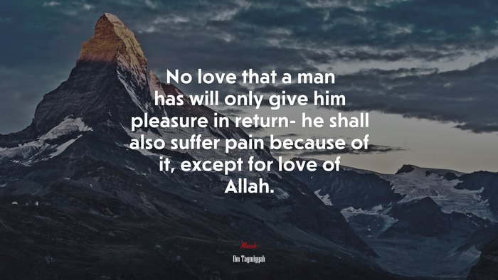 No love that a man has will only give him pleasure in return- he shall also suffer pain because of it, except for love of Allah. | Ibn Taymiyyah quote