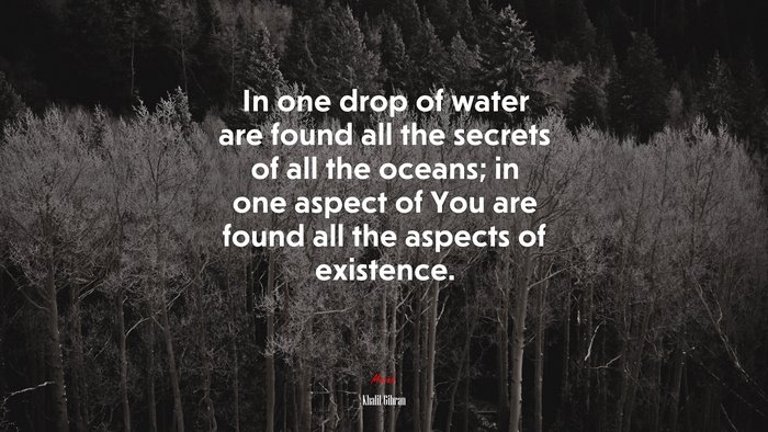 In one drop of water are found all the secrets of all the oceans; in one aspect of You are found all the aspects of existence. | Khalil Gibran quote