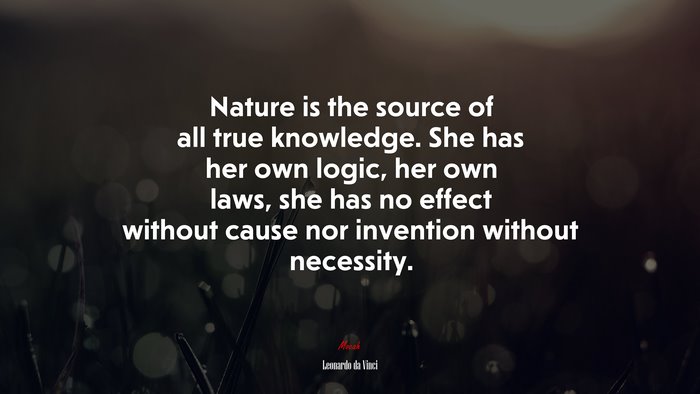Nature is the source of all true knowledge. She has her own logic, her own laws, she has no effect without cause nor invention without necessity. | Leonardo da Vinci quote
