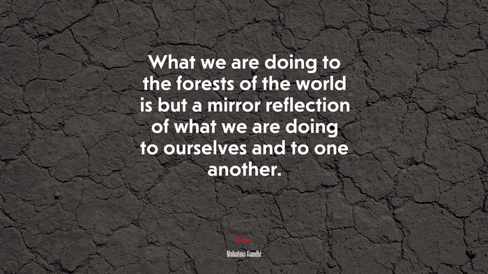 What we are doing to the forests of the world is but a mirror reflection of what we are doing to ourselves and to one another. | Mahatma Gandhi quote