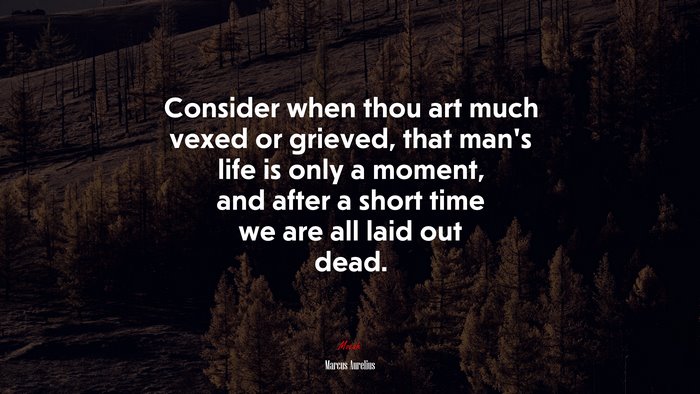 Consider when thou art much vexed or grieved, that man’s life is only a moment, and after a short time we are all laid out dead. | Marcus Aurelius quote
