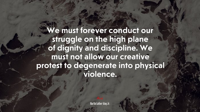 We must forever conduct our struggle on the high plane of dignity and discipline. We must not allow our creative protest to degenerate into physical violence. | Martin Luther King Jr. quote