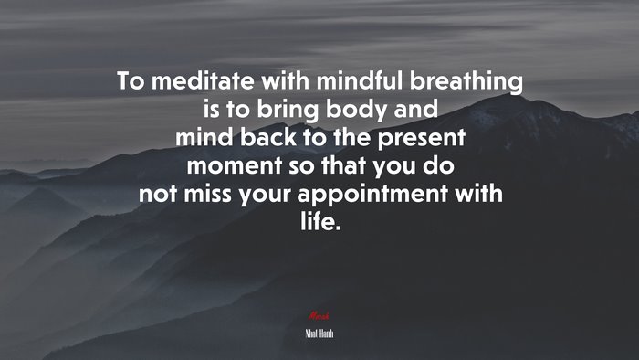 To meditate with mindful breathing is to bring body and mind back to the present moment so that you do not miss your appointment with life. | Nhat Hanh quote