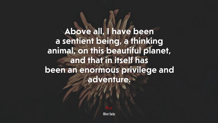 Above all, I have been a sentient being, a thinking animal, on this beautiful planet, and that in itself has been an enormous privilege and adventure. | Oliver Sacks quote