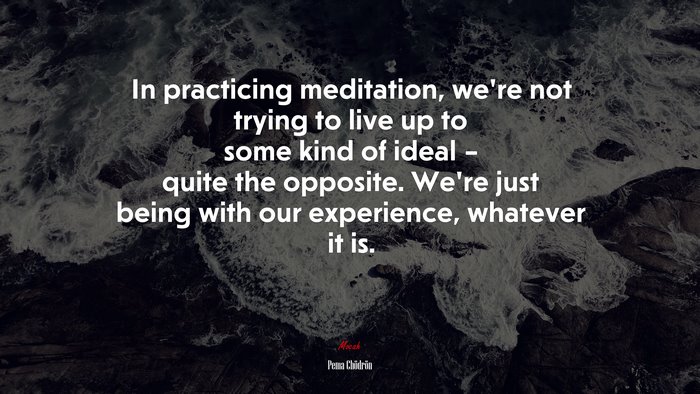 In practicing meditation, we’re not trying to live up to some kind of ideal – quite the opposite. We’re just being with our experience, whatever it is. | Pema Chödrön quote