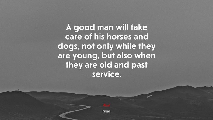 A good man will take care of his horses and dogs, not only while they are young, but also when they are old and past service. | Plutarch quote