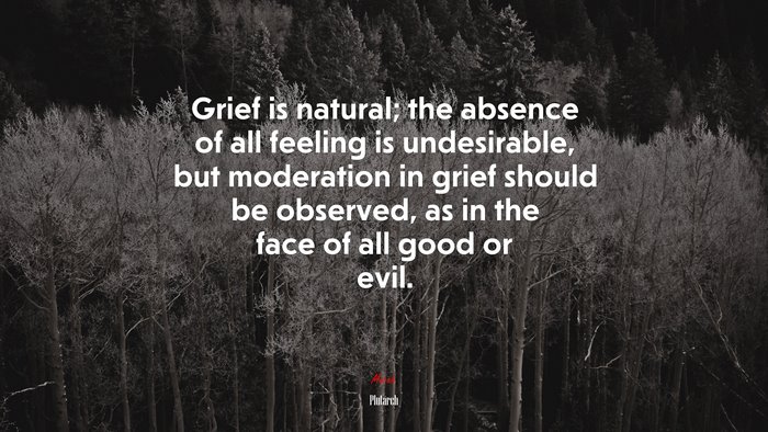 Grief is natural; the absence of all feeling is undesirable, but moderation in grief should be observed, as in the face of all good or evil. | Plutarch quote