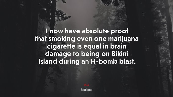 I now have absolute proof that smoking even one marijuana cigarette is equal in brain damage to being on Bikini Island during an H-bomb blast. | Ronald Reagan quote