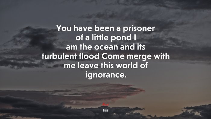 You have been a prisoner of a little pond I am the ocean and its turbulent flood Come merge with me leave this world of ignorance. | Rumi quote