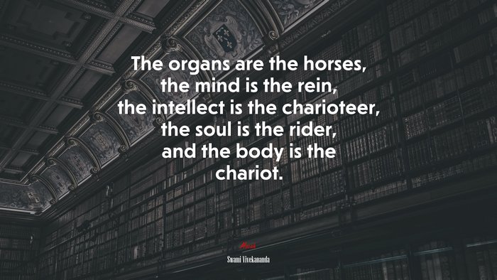 The organs are the horses, the mind is the rein, the intellect is the charioteer, the soul is the rider, and the body is the chariot. | Swami Vivekananda quote