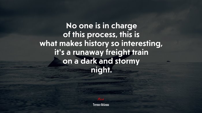 No one is in charge of this process, this is what makes history so interesting, it’s a runaway freight train on a dark and stormy night. | Terence McKenna quote