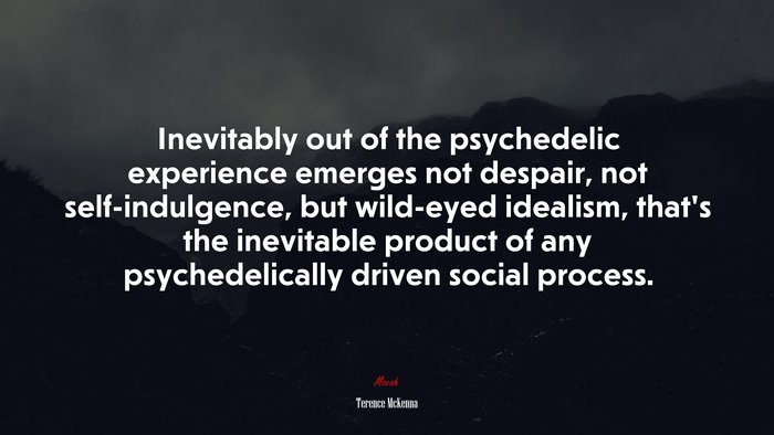 Inevitably out of the psychedelic experience emerges not despair, not self-indulgence, but wild-eyed idealism, that’s the inevitable product of any psychedelically driven social process. | Terence McKenna quote