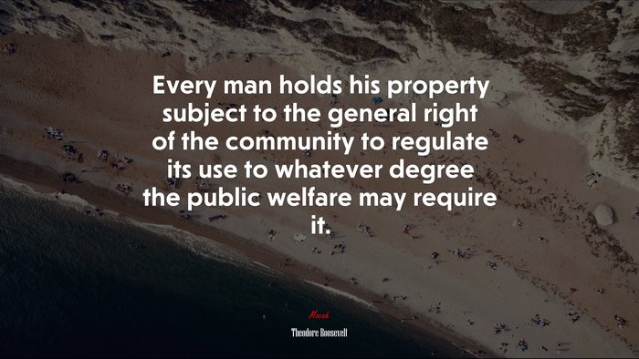 Every man holds his property subject to the general right of the community to regulate its use to whatever degree the public welfare may require it. | Theodore Roosevelt quote