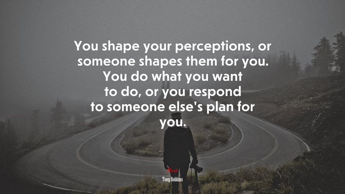 You shape your perceptions, or someone shapes them for you. You do what you want to do, or you respond to someone else’s plan for you. | Tony Robbins quote