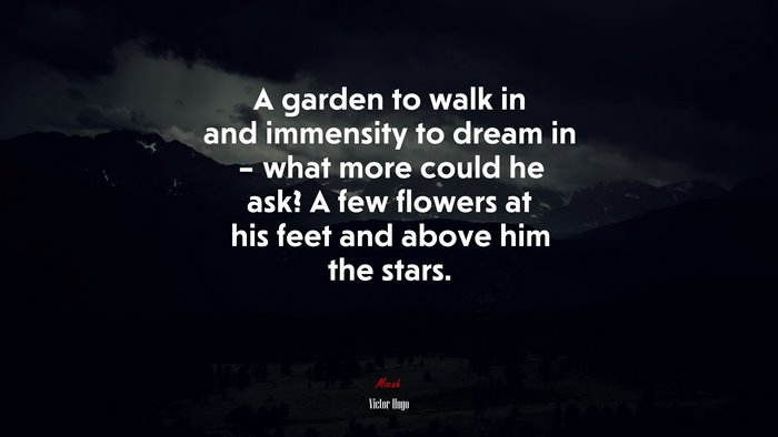 A garden to walk in and immensity to dream in – what more could he ask? A few flowers at his feet and above him the stars. | Victor Hugo quote