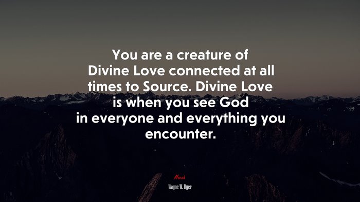 You are a creature of Divine Love connected at all times to Source. Divine Love is when you see God in everyone and everything you encounter. | Wayne W. Dyer quote
