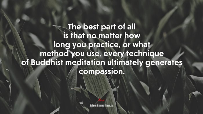 The best part of all is that no matter how long you practice, or what method you use, every technique of Buddhist meditation ultimately generates compassion. | Yongey Mingyur Rinpoche quote