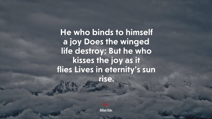 He who binds to himself a joy Does the winged life destroy; But he who kisses the joy as it flies Lives in eternity’s sun rise. | William Blake quote