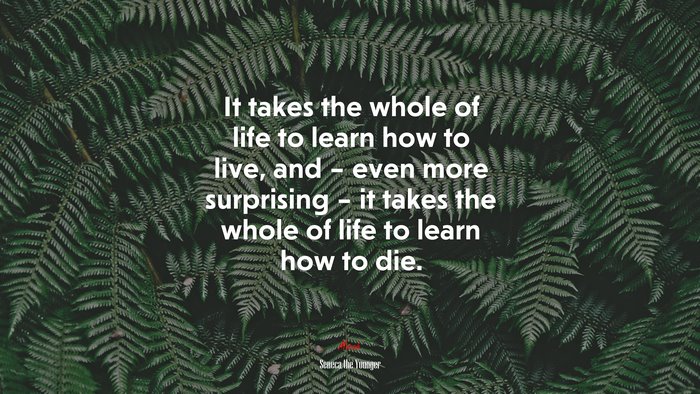 It takes the whole of life to learn how to live, and – even more surprising – it takes the whole of life to learn how to die. | Seneca the Younger quote