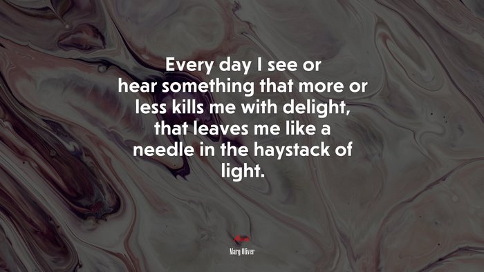 Every day I see or hear something that more or less kills me with delight, that leaves me like a needle in the haystack of light. | Mary Oliver quote
