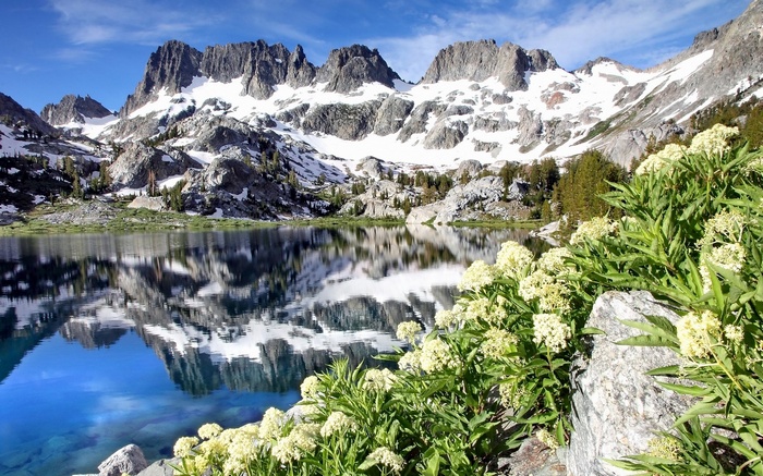 Snow-capped mountains reflected in a clear lake with wildflowers
