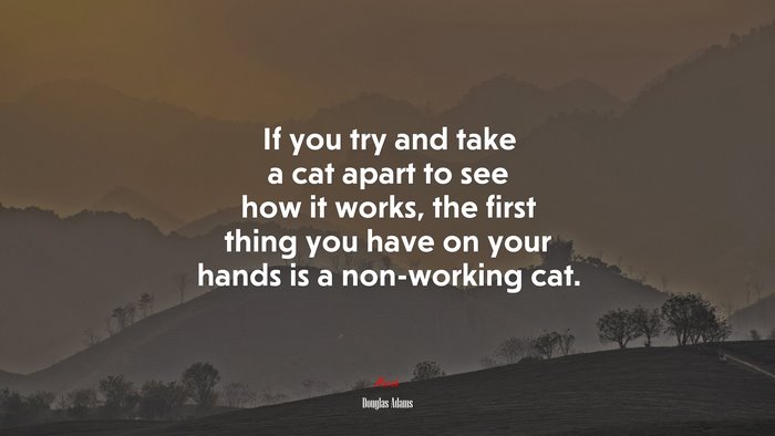 If you try and take a cat apart to see how it works, the first thing you have on your hands is a non-working cat. | Douglas Adams quote