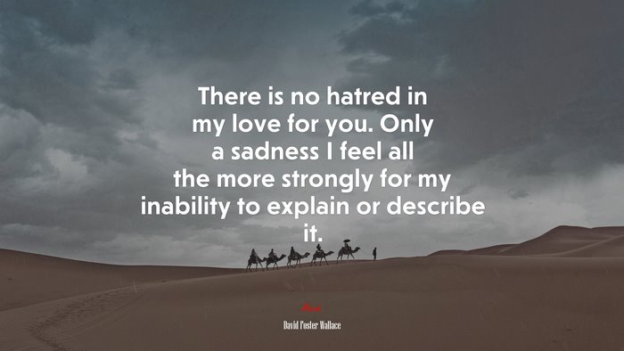 There is no hatred in my love for you. Only a sadness I feel all the more strongly for my inability to explain or describe it. | David Foster Wallace quote