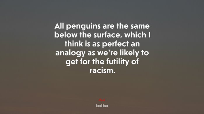 All penguins are the same below the surface, which I think is as perfect an analogy as we’re likely to get for the futility of racism. | Russell Brand quote
